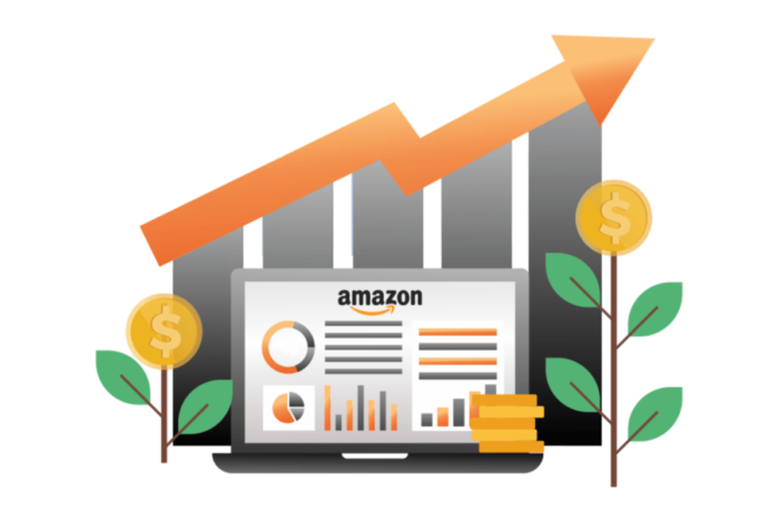 amazon1-1200×994 (1) amazon1-1200x994 (1)